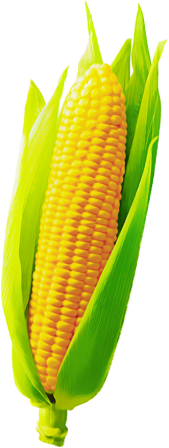 corn